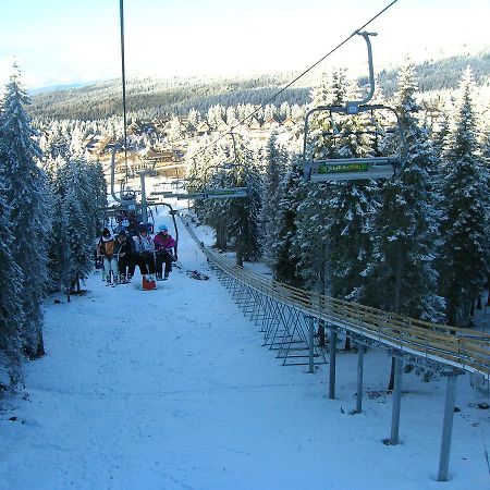 Apartment Sofi Yeti Kopaonik Esterno foto