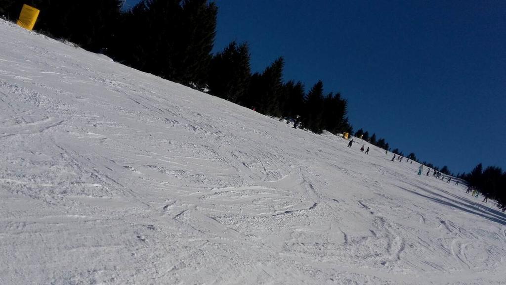 Apartment Sofi Yeti Kopaonik Esterno foto
