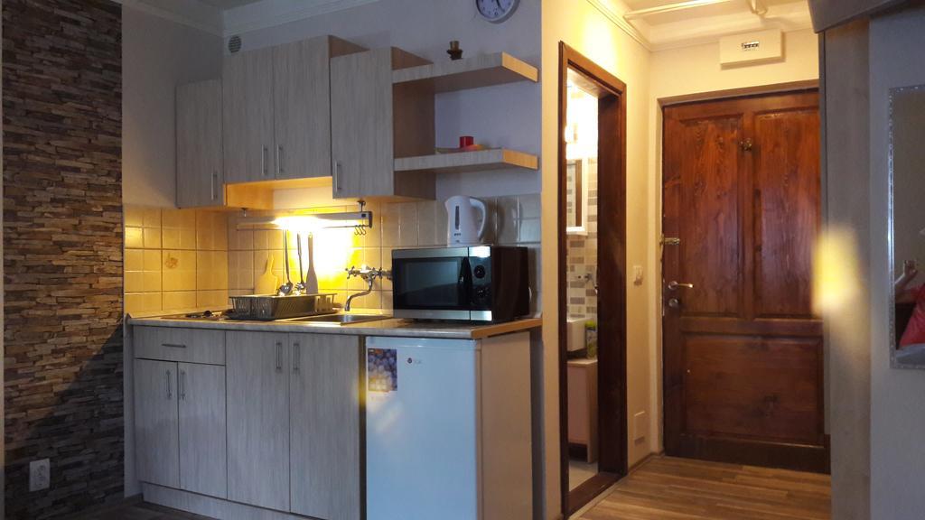 Apartment Sofi Yeti Kopaonik Esterno foto